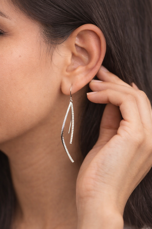Long Tassel Two Piece Earrings